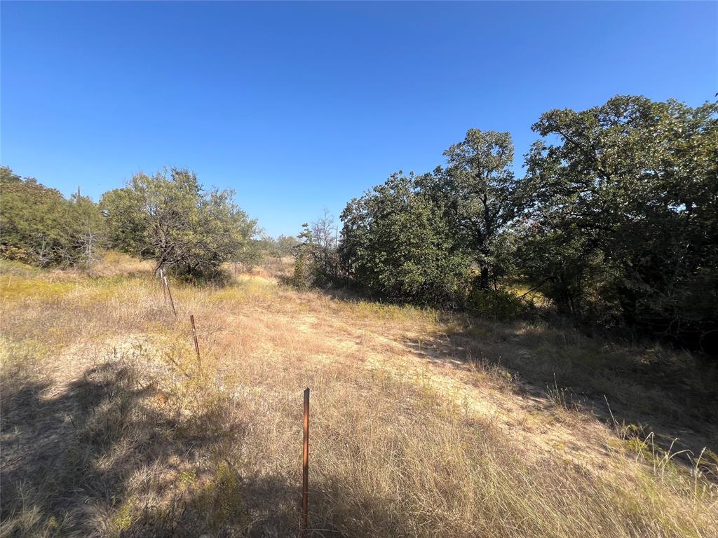 Tbd Tbd Wild Hill Springtown, TX 76082 - Photo 6 of 10 View of local wilderness