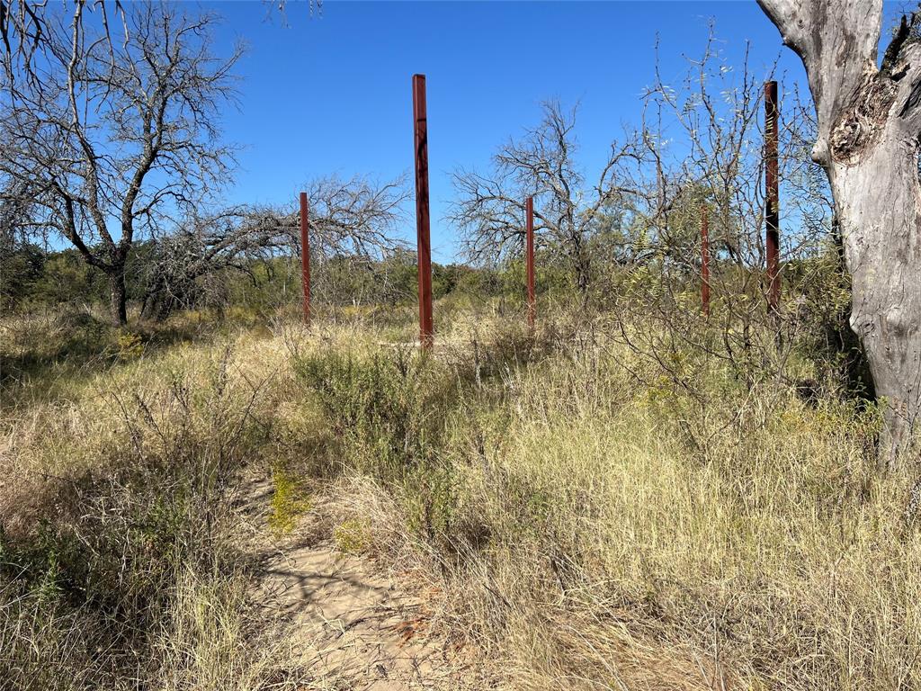 Tbd Tbd Wild Hill Springtown, TX 76082 - Photo 7 of 10 View of local wilderness