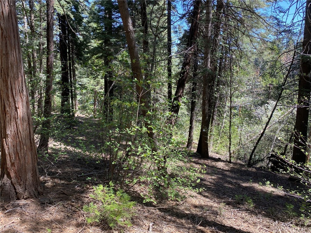 865 Maple Road Skyforest, CA 92385 - Photo 1 of 1 Gallery Image 1