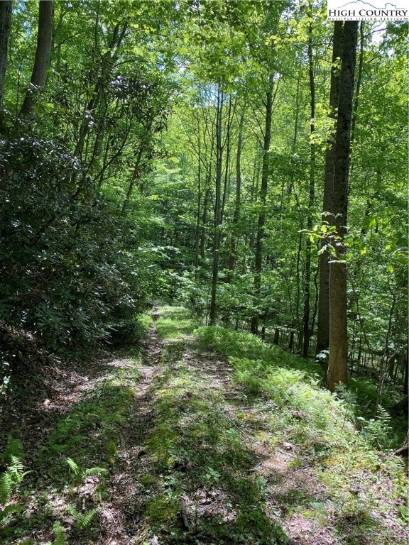 Jake's Mountain Road Deep Gap, NC 28618 - Photo 11 of 32 Gallery Image 11