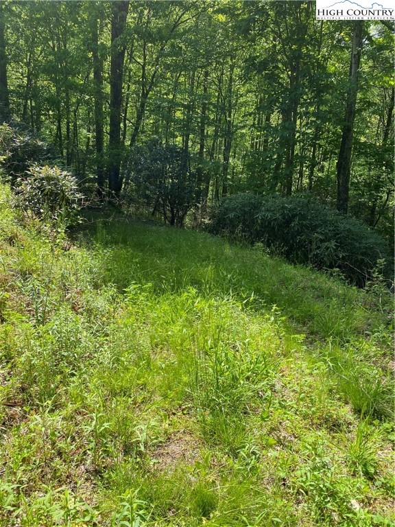 Jake's Mountain Road Deep Gap, NC 28618 - Photo 12 of 32 Gallery Image 12