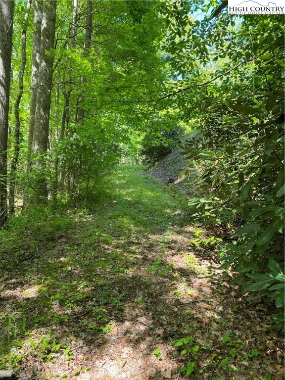 Jake's Mountain Road Deep Gap, NC 28618 - Photo 13 of 32 Gallery Image 13