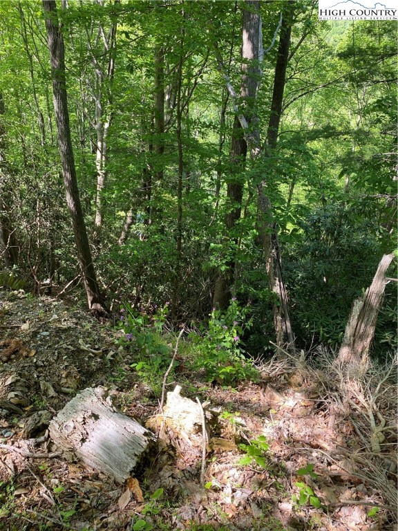Jake's Mountain Road Deep Gap, NC 28618 - Photo 14 of 32 Gallery Image 14