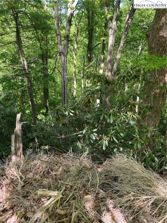 Jake's Mountain Road Deep Gap, NC 28618 - Photo 15 of 32 Gallery Image 15