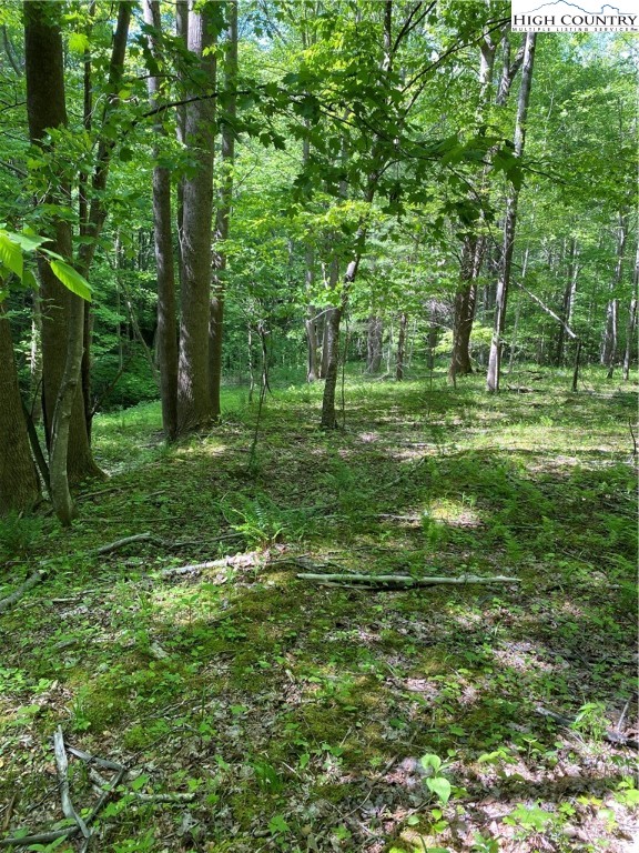 Jake's Mountain Road Deep Gap, NC 28618 - Photo 17 of 32 Gallery Image 17