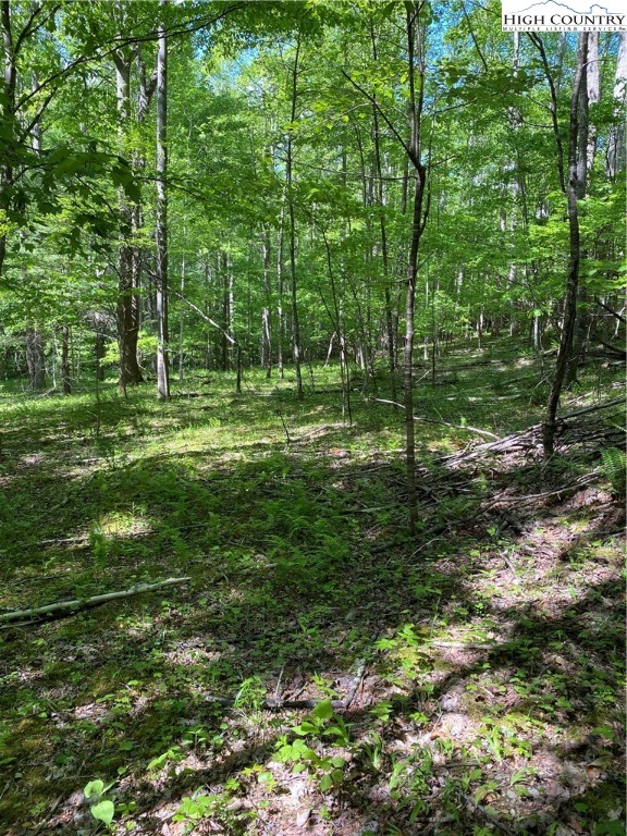 Jake's Mountain Road Deep Gap, NC 28618 - Photo 18 of 32 Gallery Image 18