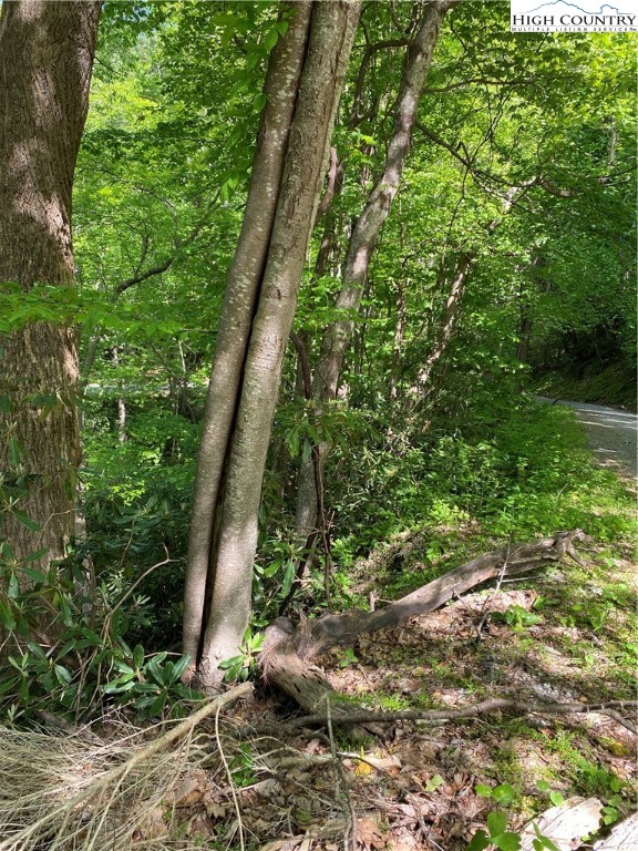 Jake's Mountain Road Deep Gap, NC 28618 - Photo 19 of 32 Gallery Image 19