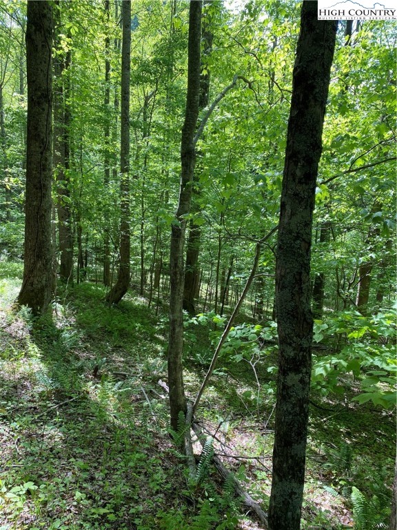 Jake's Mountain Road Deep Gap, NC 28618 - Photo 22 of 32 Gallery Image 22