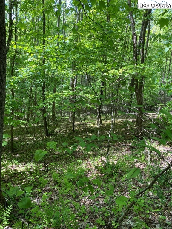Jake's Mountain Road Deep Gap, NC 28618 - Photo 23 of 32 Gallery Image 23
