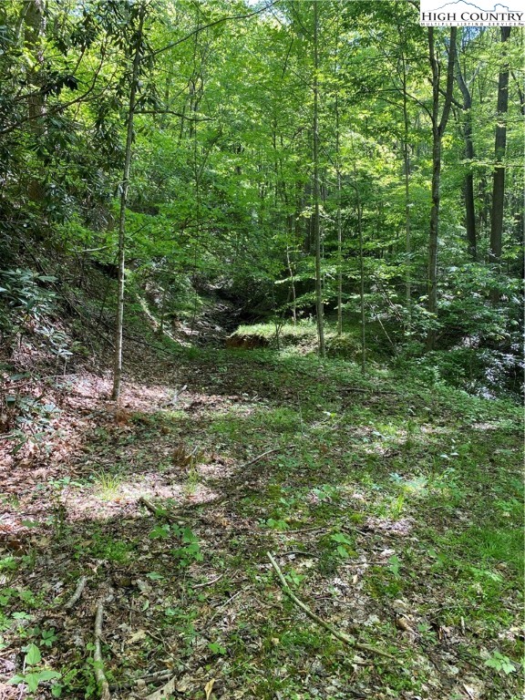Jake's Mountain Road Deep Gap, NC 28618 - Photo 24 of 32 Gallery Image 24