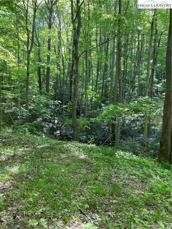 Jake's Mountain Road Deep Gap, NC 28618 - Photo 25 of 32 Gallery Image 25