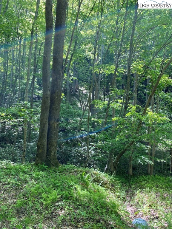 Jake's Mountain Road Deep Gap, NC 28618 - Photo 26 of 32 Gallery Image 26
