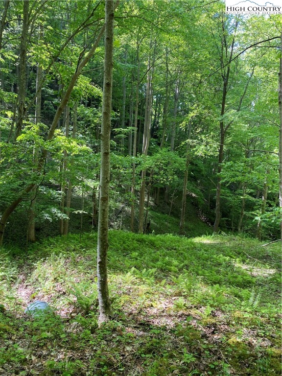Jake's Mountain Road Deep Gap, NC 28618 - Photo 27 of 32 Gallery Image 27