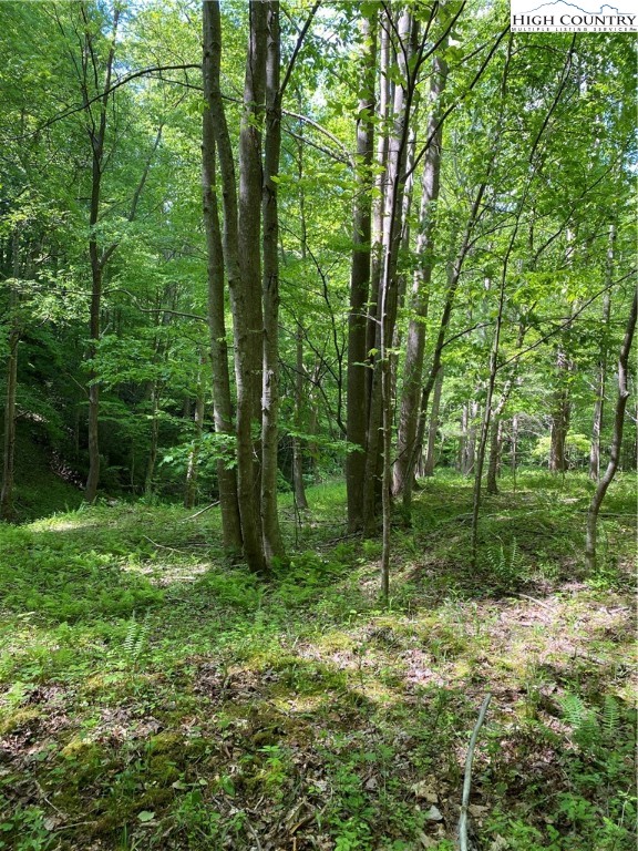 Jake's Mountain Road Deep Gap, NC 28618 - Photo 28 of 32 Gallery Image 28