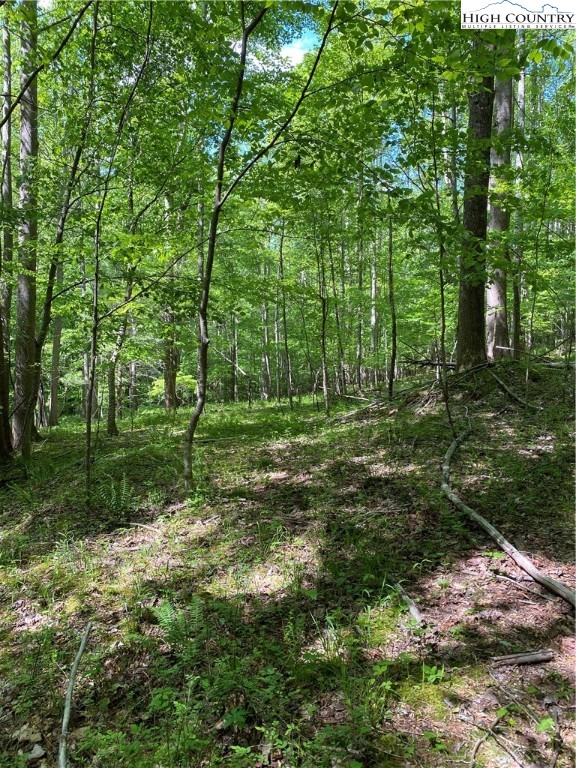 Jake's Mountain Road Deep Gap, NC 28618 - Photo 29 of 32 Gallery Image 29