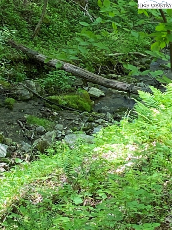 Jake's Mountain Road Deep Gap, NC 28618 - Photo 6 of 32 Gallery Image 6