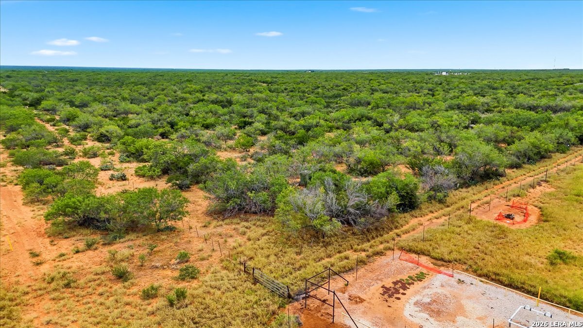 0 Carroll Road Dilley, TX 78017 - Photo 3 of 23 Gallery Image 3