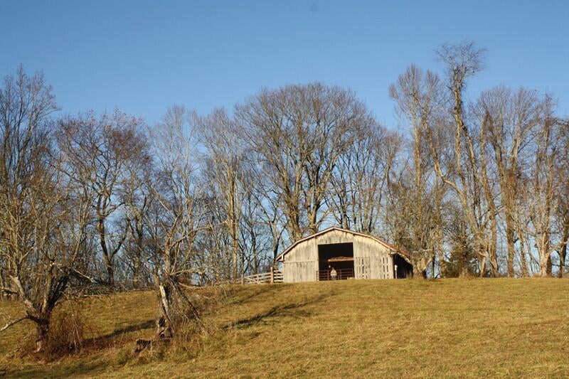 Zion Mountain Road Hinton, WV 25951 - Photo 67 of 73 Gallery Image 67