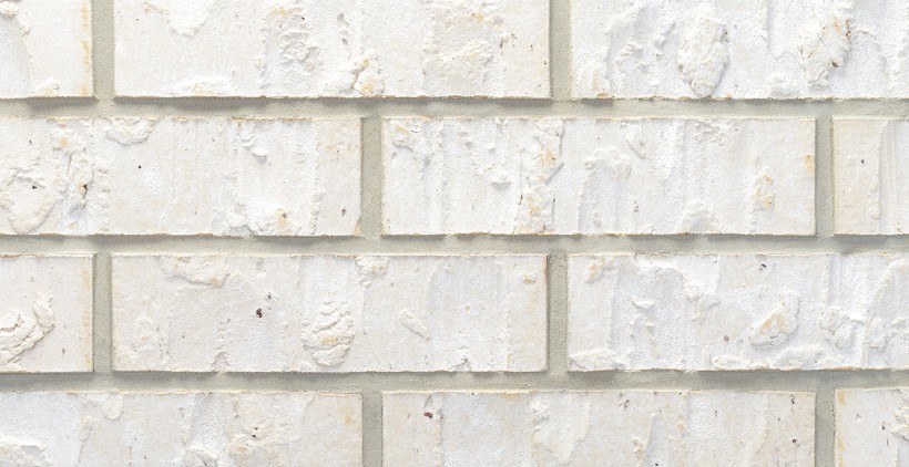 18607 Citrange Bend Way Manvel, TX 77578 - Photo 2 of 6