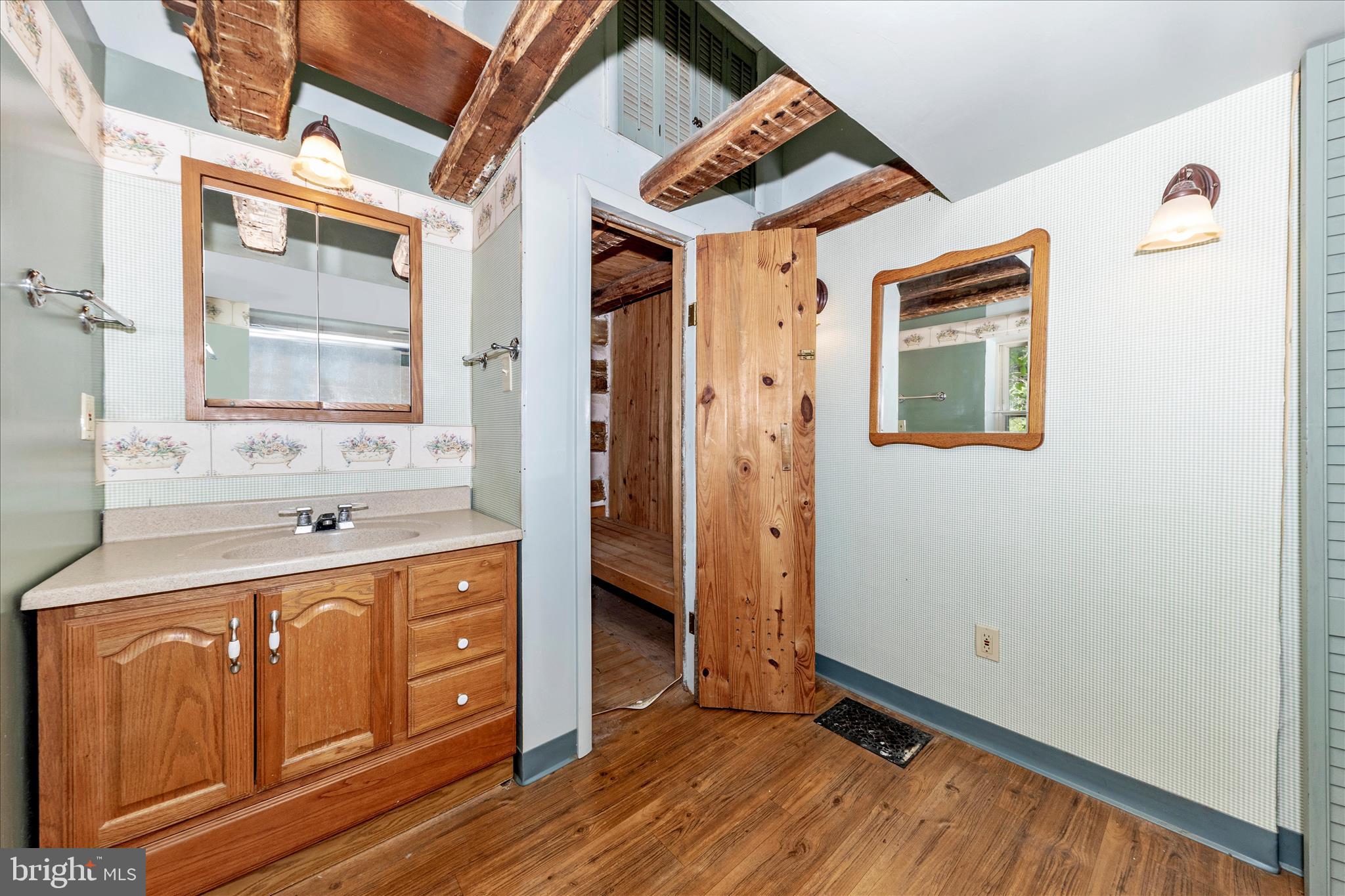 3020 Chestnut Grove Road Keedysville, MD 21756 - Photo 22 of 46 Vanity and Sauna Entry