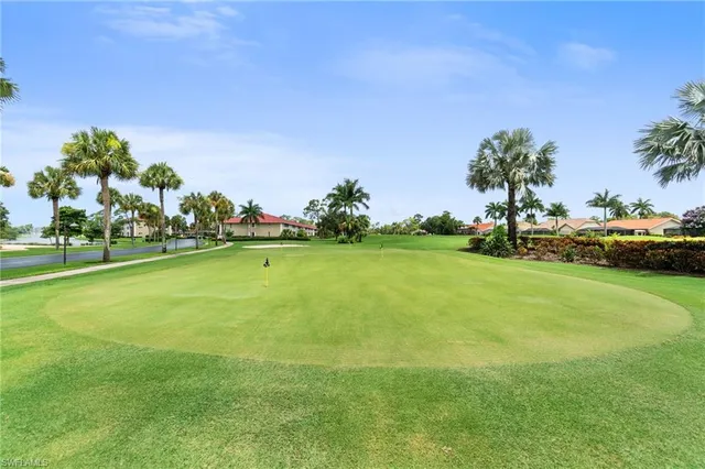 a view of a park with large trees
