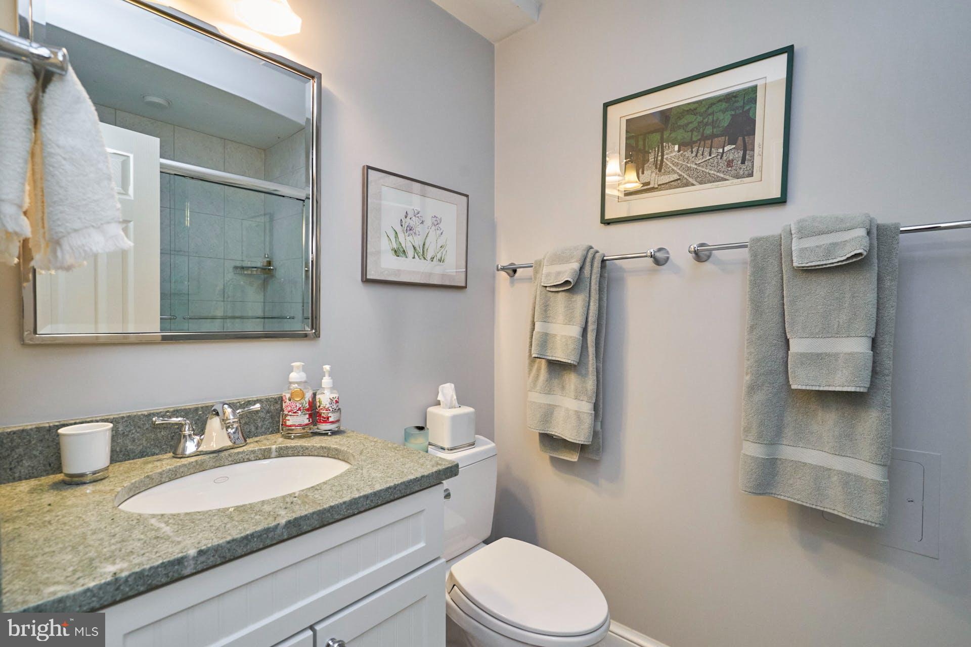 1235 Aldebaran Drive McLean, VA 22101 - Photo 56 of 71 Renovated basement full bath