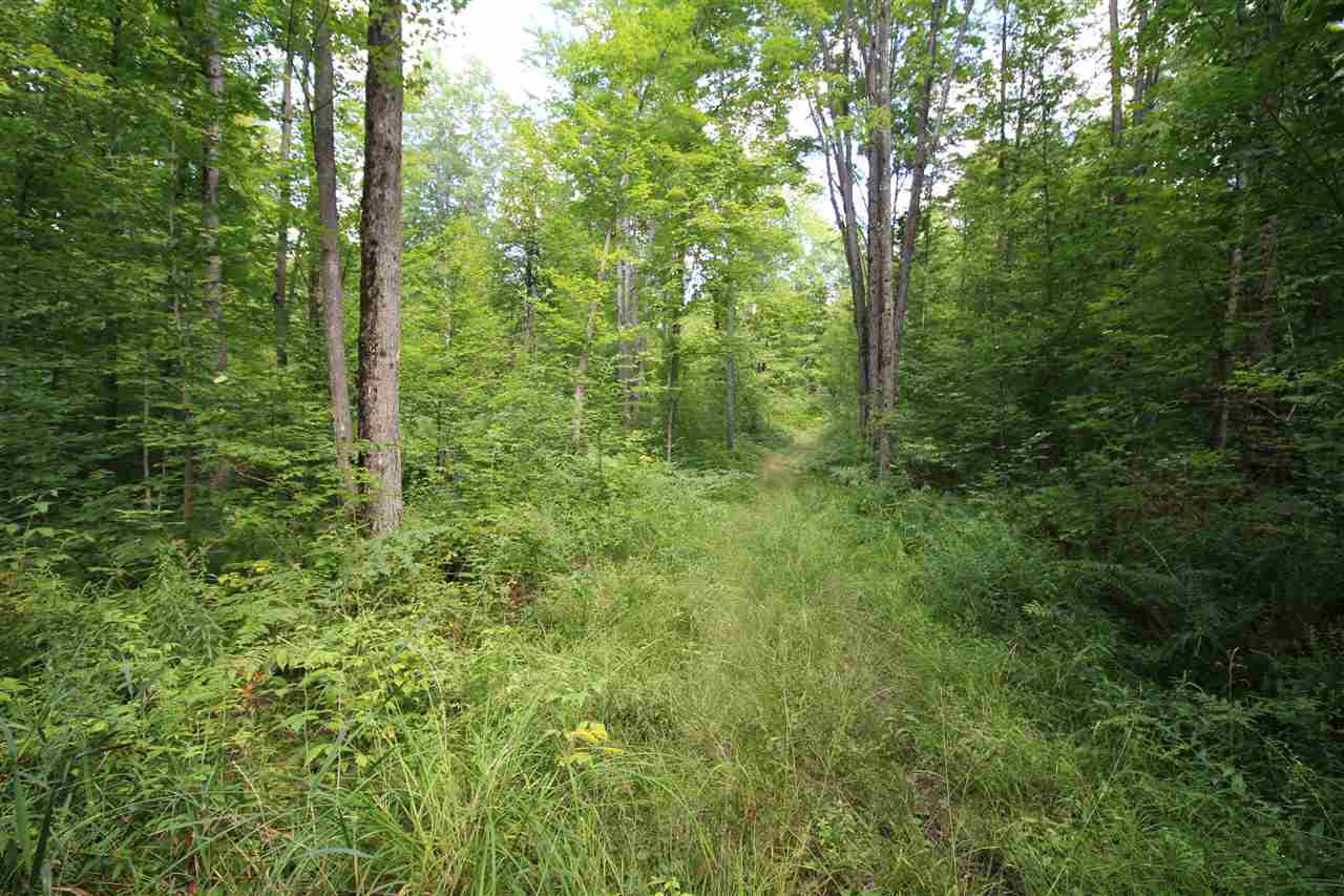 7260 North 31 Road Manton, MI 49663 - Photo 29 of 32 1878582-28.JPG