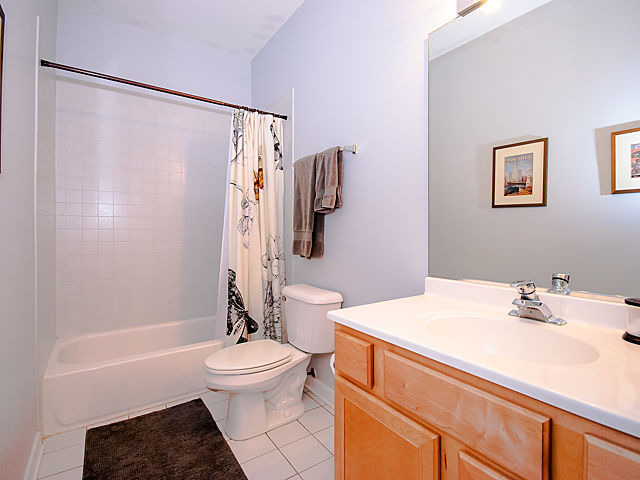 1344 West Grenshaw Street, Unit A Chicago, IL 60607 - Photo 9 of 11