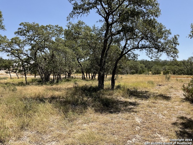722 Blaze Ridge Boulevard Bulverde, TX 78163 - Photo 2 of 6
