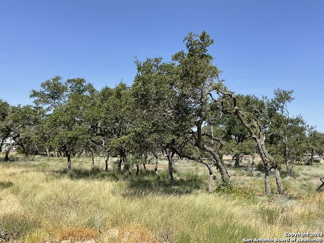 722 Blaze Ridge Boulevard Bulverde, TX 78163 - Photo 4 of 6