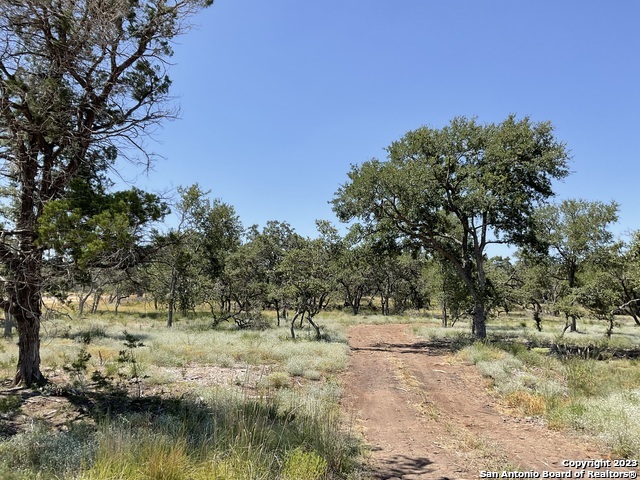 722 Blaze Ridge Boulevard Bulverde, TX 78163 - Photo 5 of 6