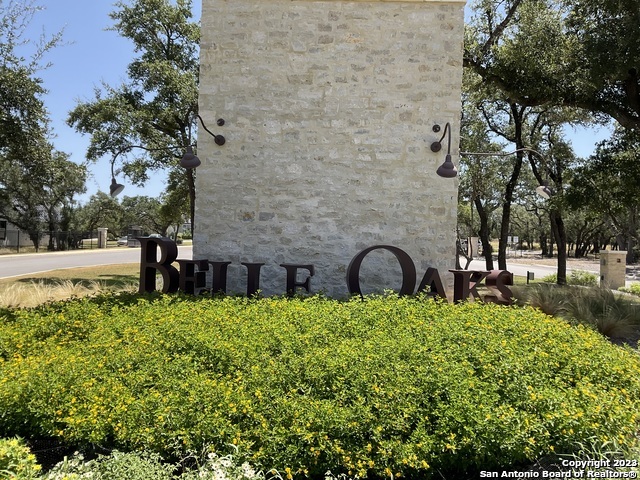 722 Blaze Ridge Boulevard Bulverde, TX 78163 - Photo 6 of 6