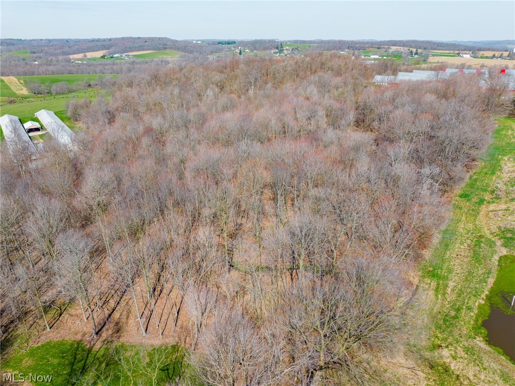 Nebraska Road Dundee, OH 44624 - Photo 29 of 47 Gallery Image 29