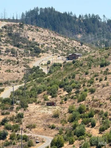 a view of a large yard with lots of bushes