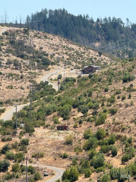 6300 Wildwood Mountain Road Santa Rosa, CA 95409 - Photo 11 of 28 a view of a large yard with lots of bushes