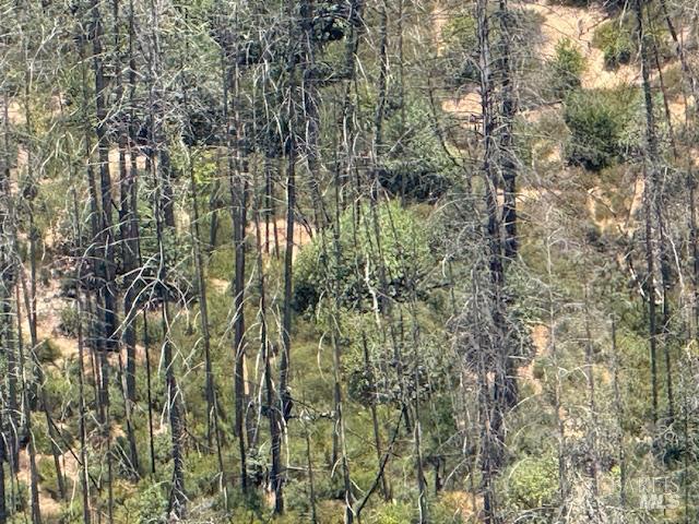 6300 Wildwood Mountain Road Santa Rosa, CA 95409 - Photo 12 of 28 a view of residential houses with yard and outdoor space