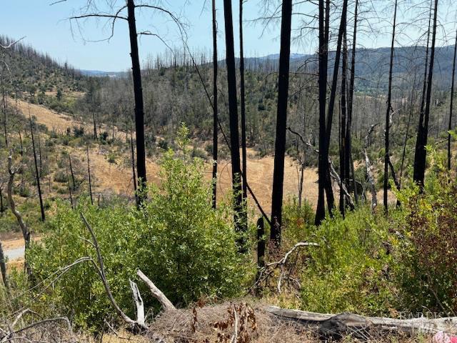 6300 Wildwood Mountain Road Santa Rosa, CA 95409 - Photo 20 of 28 a view of a garden
