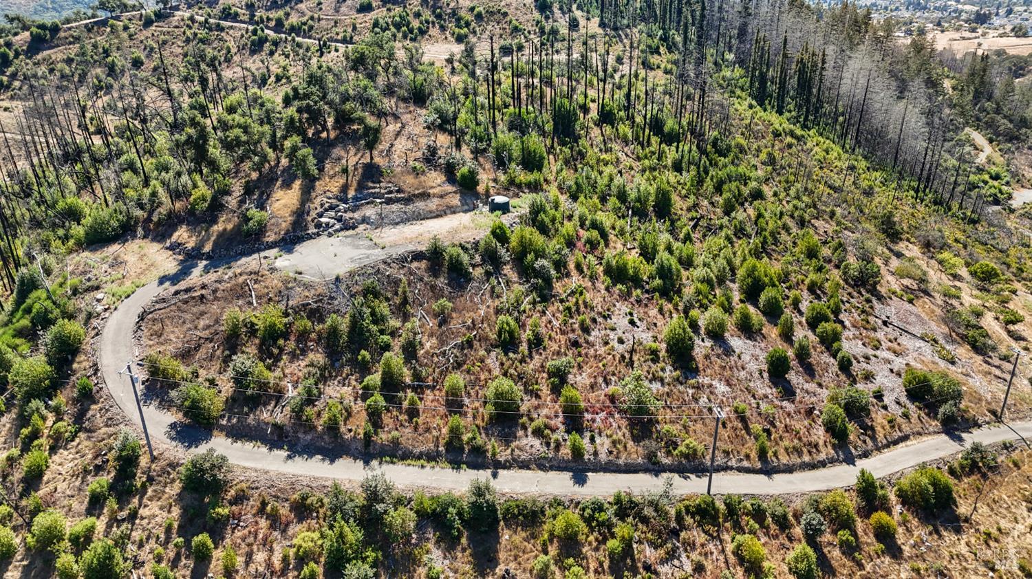 6300 Wildwood Mountain Road Santa Rosa, CA 95409 - Photo 26 of 28 a view of a garden