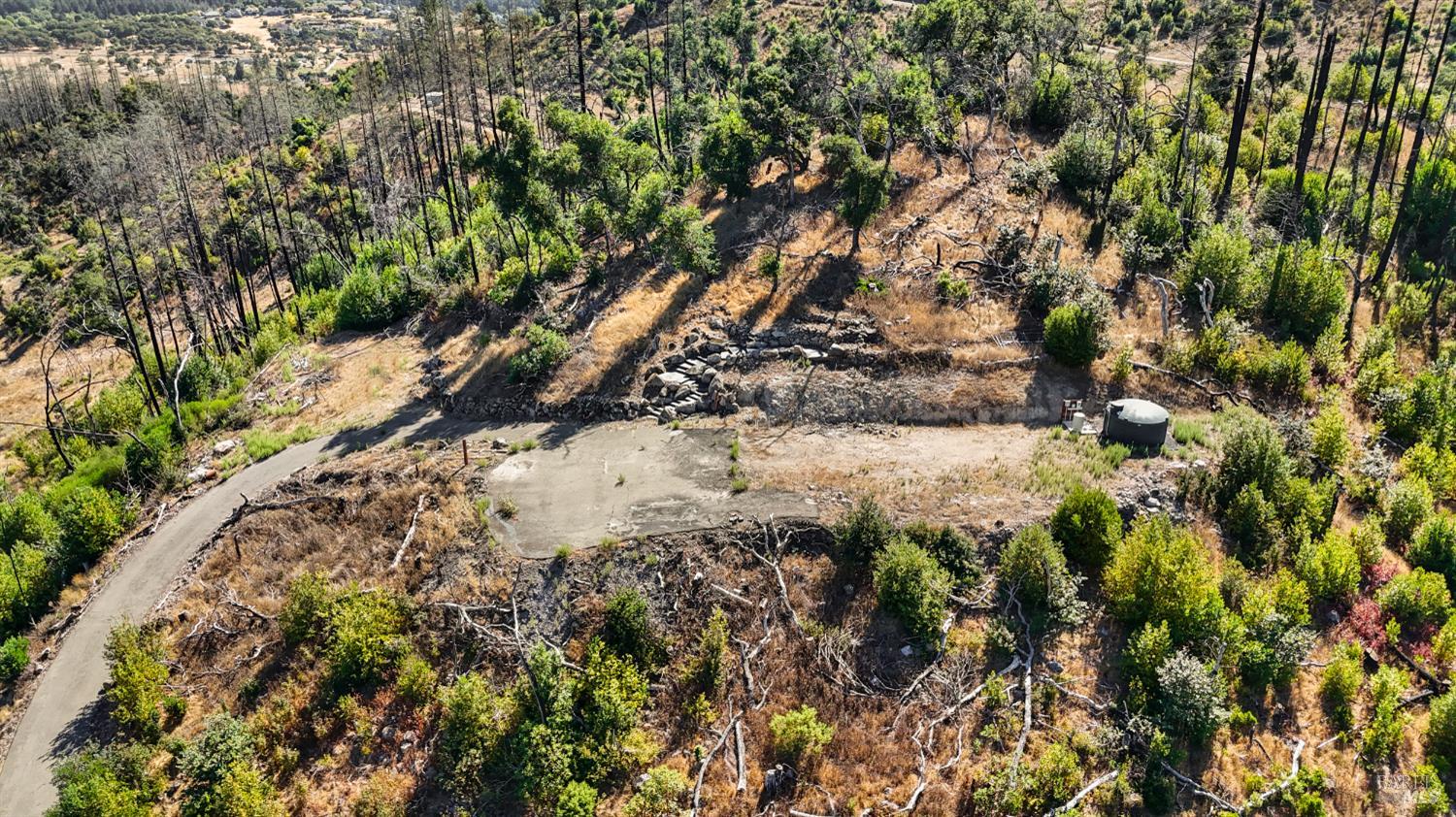 6300 Wildwood Mountain Road Santa Rosa, CA 95409 - Photo 27 of 28 a view of a tree