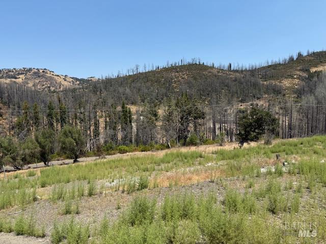 6300 Wildwood Mountain Road Santa Rosa, CA 95409 - Photo 7 of 28 a view of a yard with a tree