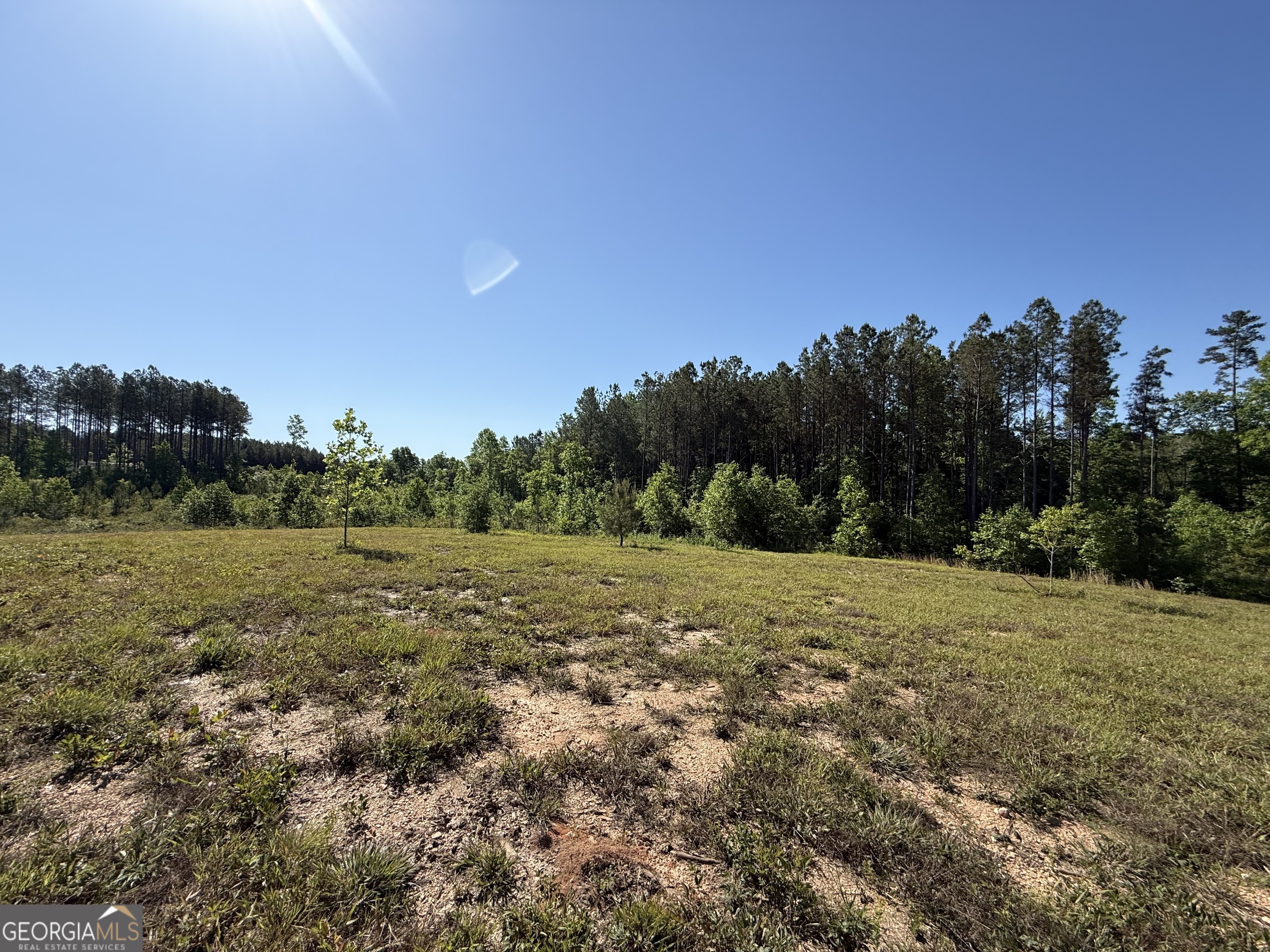1185 County Road 402 Fruithurst, AL 36262 - Photo 40 of 54