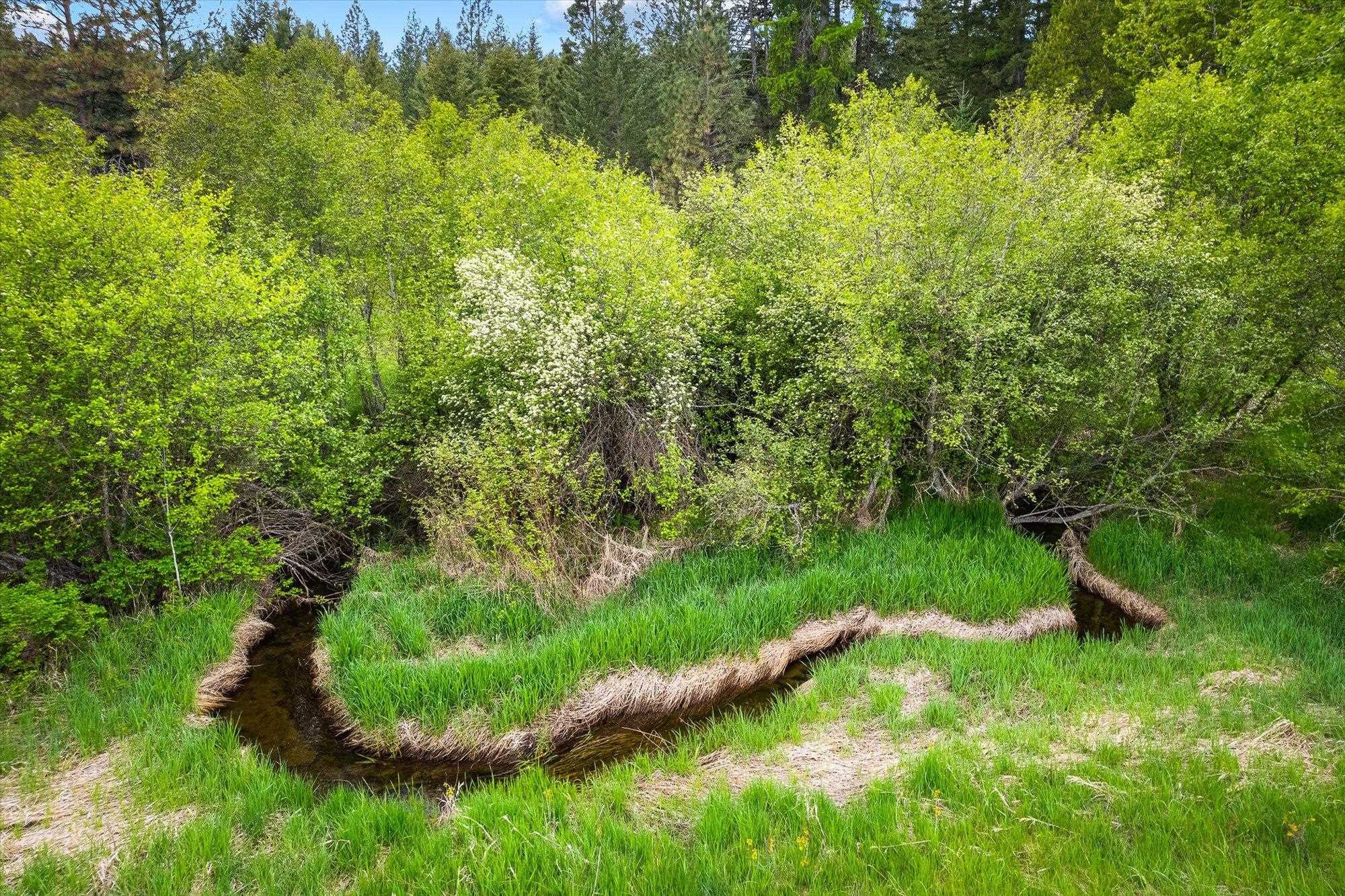 3475 B Waitts Lake Road Valley, WA 99181 - Photo 44 of 49