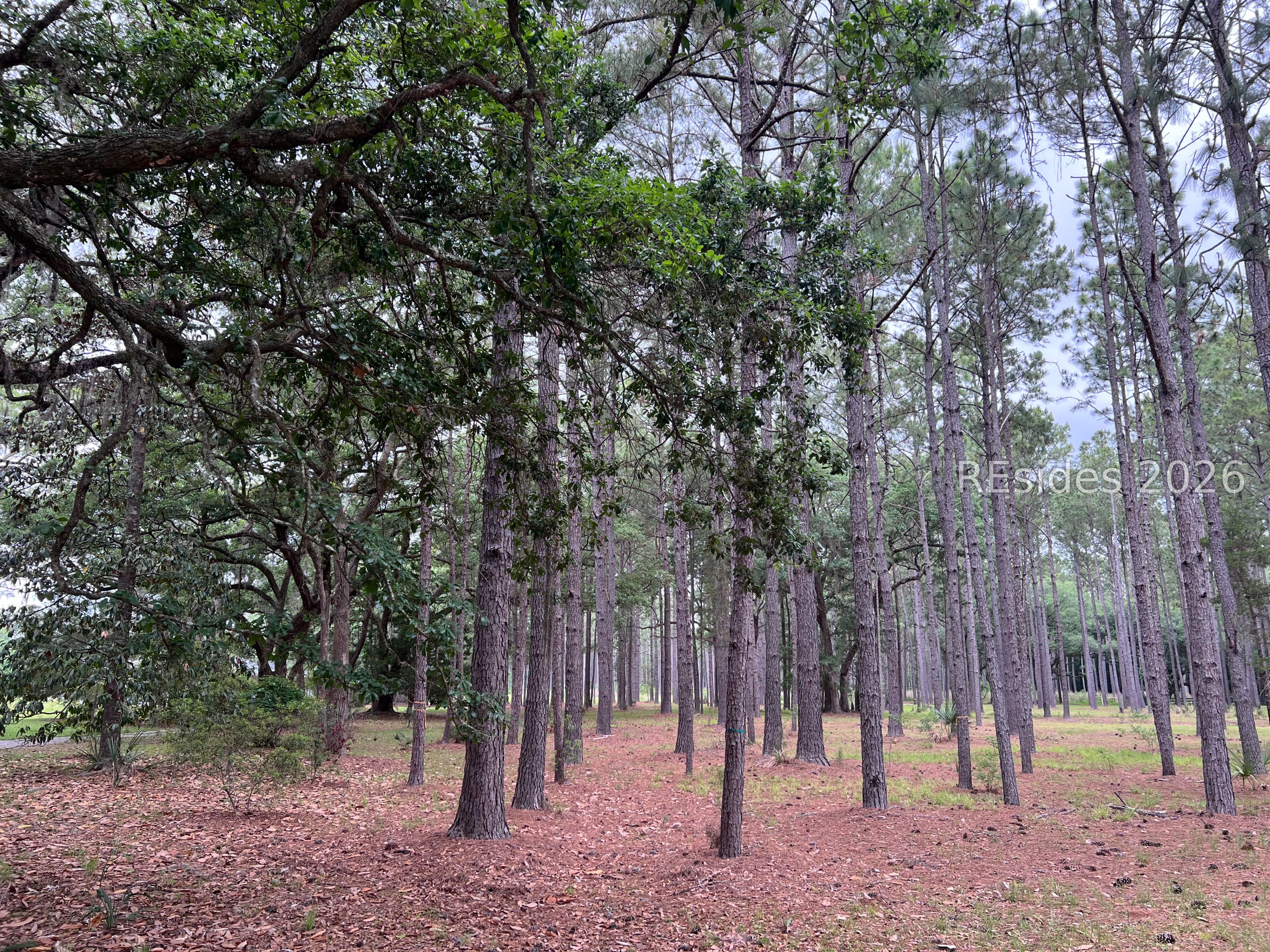 40 Okatie Bluff Road Okatie, SC 29909 - Photo 2 of 3