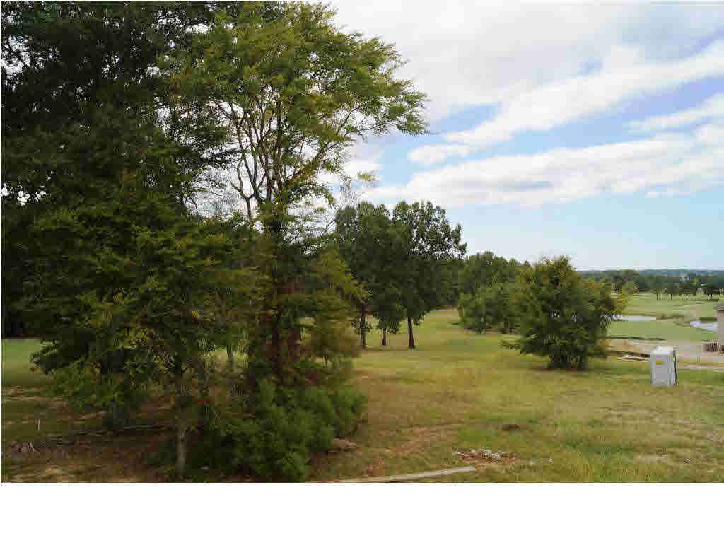 144 Burne Run Madison, MS 39110 - Photo 32 of 40 Photo 32