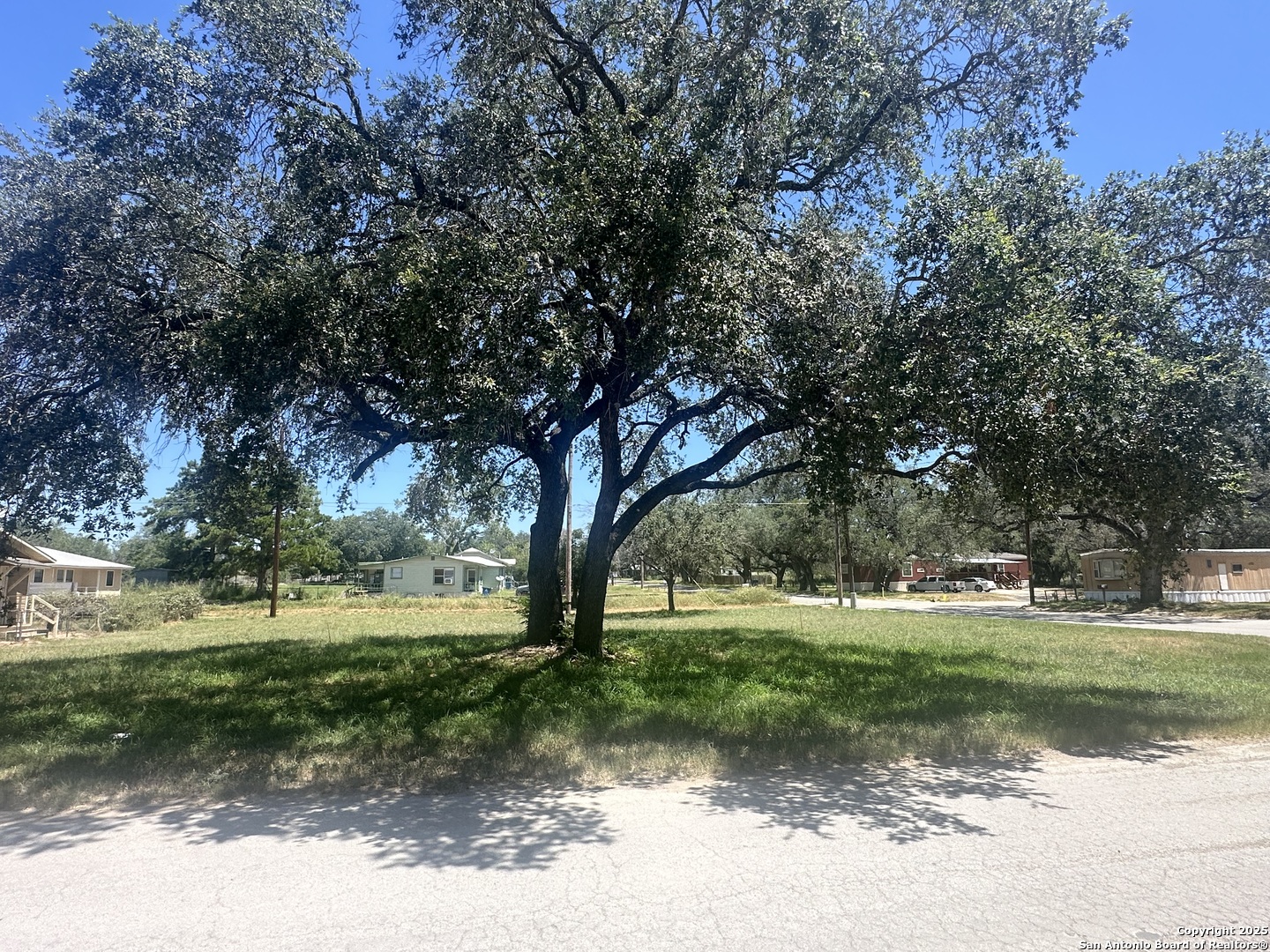 400 Davis Avenue Devine, TX 78016 - Photo 4 of 4 a view of a yard with large trees