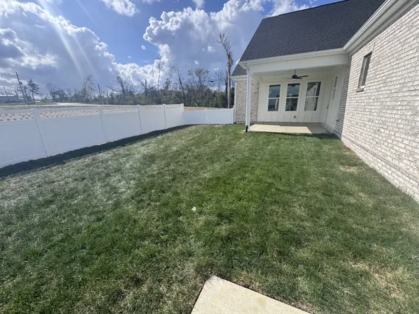 a view of a backyard with plants and large trees