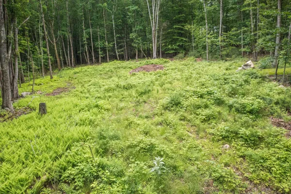 $330,000 | Lot 5 Stonecrop Farm Lane, Eliot, ME 03903