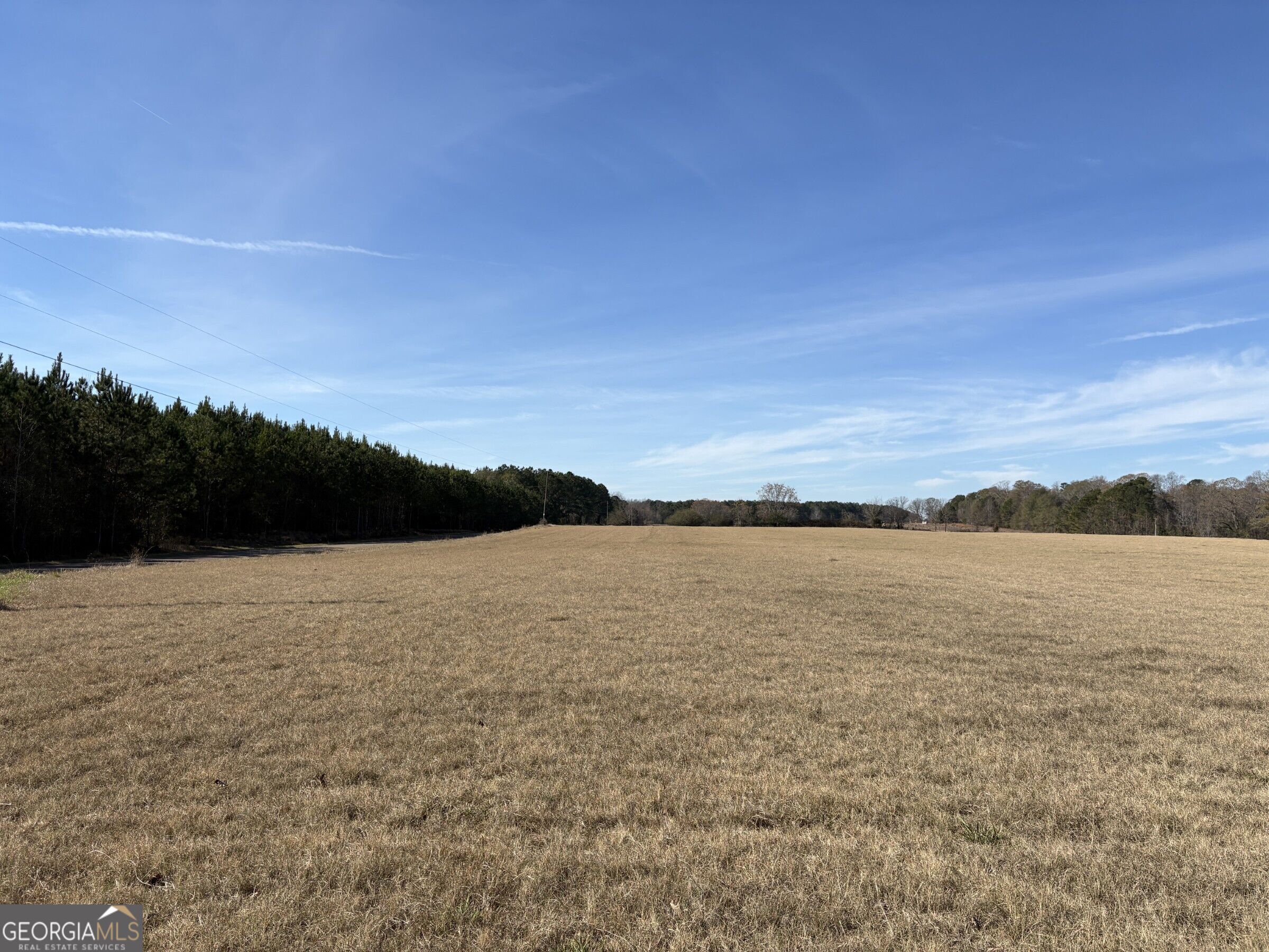 T1 Old Zebulon Road Forsyth, GA 31029 - Photo 38 of 112 Gallery Image 38