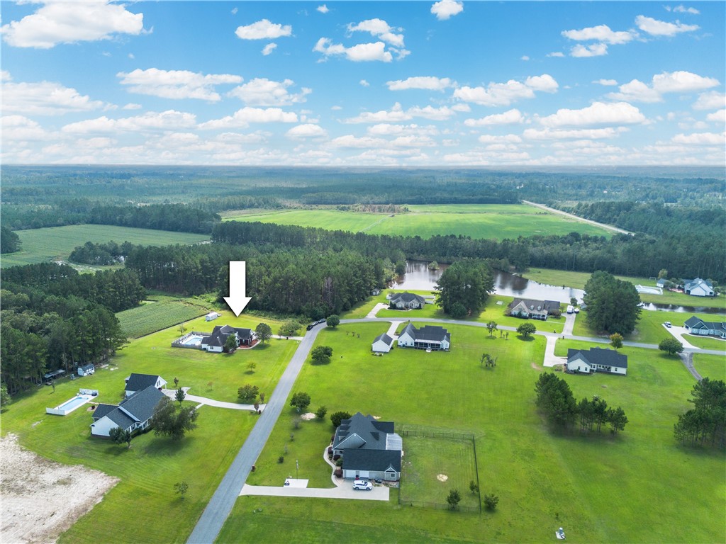 1320 Whitney Lake Road Blackshear, GA 31516 - Photo 3 of 39