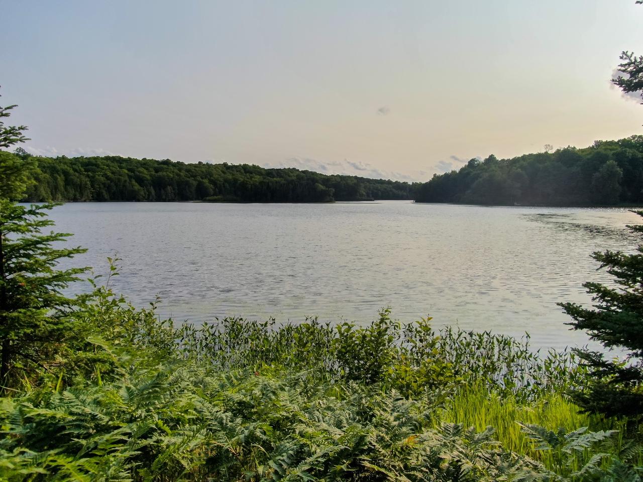 Off Pomeroy Lk Road, Unit LOT 27 Marenisco, MI 49947 - Photo 27 of 28 Gallery Image 27